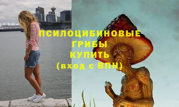 mdpv Бронницы