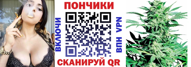 Конопля сатива Купить где Абаза